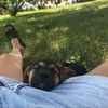 harperjune2